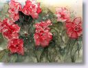 rote Blumen.jpg
